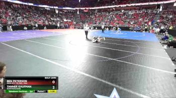 D2-170 lbs Quarterfinal - Ben Peterson, Gale-Ett.-Tr./Mel.-Min. vs Tanner Kaufman, Northwestern