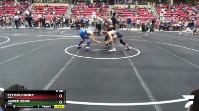 125 lbs Semifinal - Peyton Chainey, Nixa vs Jasper Johns, SAW