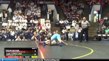 150 lbs Finals (8 Team) - Dylan Gilcher, Detroit Catholic Central HS vs Gabe Cappellano, Hartland HS