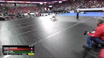 D2-132 lbs Champ. Round 1 - Tyler Fink, Baldwin-Woodville vs Gage Losiewicz, Medford