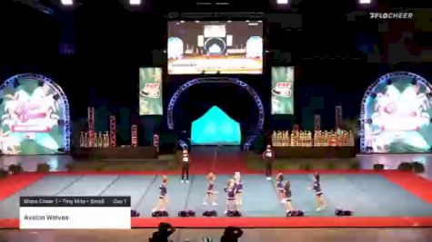 Avalon Wolves [2020 Show Cheer 1 - Tiny Mite - Small Day 1] 2020 Pop Warner National Cheer & Dance Championship