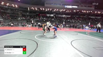 120 lbs Quarterfinal - Anthony Dalessio, Triumph Trained vs David Strober, Nhwc