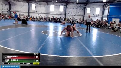 Elite 174 lbs Cons. Round 4 - Colton Berg, Wartburg vs Aiden Riggins, Iowa