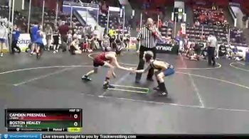 67 lbs Round 3 (4 Team) - Camden Presnull, Linden vs Boston Healey, Plainwell