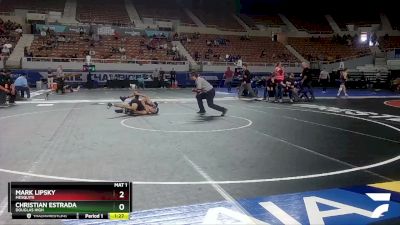 D3-106 lbs Champ. Round 1 - Christian Estrada, Douglas High vs Mark Lipsky, Mesquite