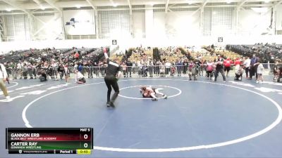 67 lbs Quarterfinal - Gannon Erb, Black Belt Wrestling Academy vs Carter Ray, Gowanda Wrestling