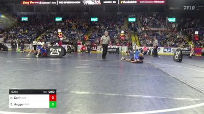 67 lbs Round Of 32 - Hunter Carl, Palmyra vs Stetson Hagge, Fort LeBoeuf