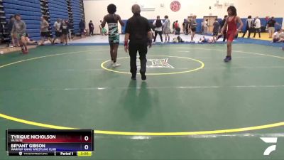 145 lbs Cons. Round 4 - Tyrique Nicholson, VA ELITE vs Bryant Gibson, Warmup Gang Wrestling Club