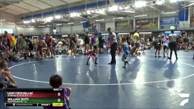 60 lbs 2nd Wrestleback (8 Team) - William Duty, Team Palmetto vs Liam Crousillac, Alabama Elite Black