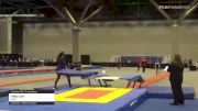 Abby Lim - Double Mini Trampoline, CAVU - 2021 USA Gymnastics Championships