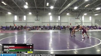 184 lbs Quarterfinal - Brian Ramos, Augsburg vs David Papach, Wartburg