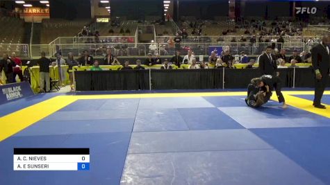 ANA C. NIEVES vs ANDREA E SUNSERI 2024 Pan Jiu Jitsu IBJJF Championship