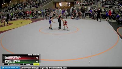 49 lbs Cons. Round 1 - Isaiah Hesedahl, McMinnville Mat Club vs Zayden Skaggs, Viper Wrestling