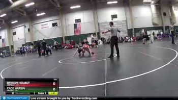 113 lbs Round 4 (16 Team) - Bryson Heilbut, Central vs Cade Harsin, Minden