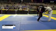 DENNIS ANDREW FLILLER vs WAYNE HAYER JR 2024 Pan Jiu Jitsu IBJJF Championship