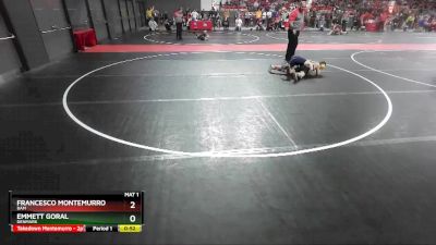 95 lbs Quarterfinal - Emmett Goral, Denmark vs Francesco Montemurro, BAM