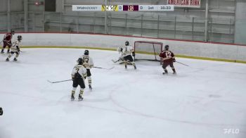 Replay: Home - 2024 PMHA vs Edge Gold | Jan 14 @ 7 AM