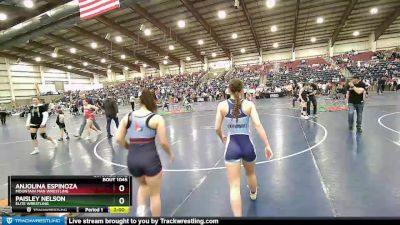 132 lbs Quarterfinal - Anjolina Espinoza, Mountain Man Wrestling vs Paisley Nelson, Elite Wrestling