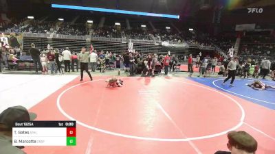 82 lbs Consi Of 8 #2 - Tilden Gates, Athlos WC vs Braxton Marcotte, Casper WC