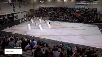 Undaunted at 2020 WGI Guard Austin Regional - Rouse HS