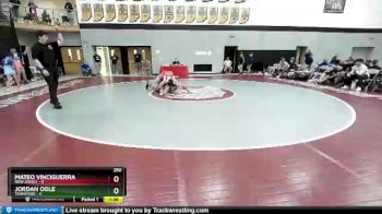 250 lbs Placement Matches (8 Team) - Mateo Vinciguerra, New Jersey vs Jordan Ogle, Tennessee