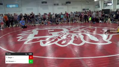 96-S lbs Final - Tyler Sage, MI vs Mason Brown, NC