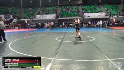 6A 113 lbs Semifinal - Aiden Morris, Mortimer Jordan HS vs Wyatt Hubley, Pell City