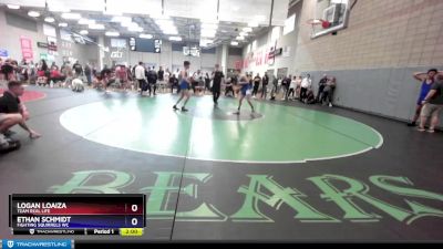 113 lbs Cons. Semi - Ethan Schmidt, Fighting Squirrels WC vs Logan Loaiza, Team Real Life