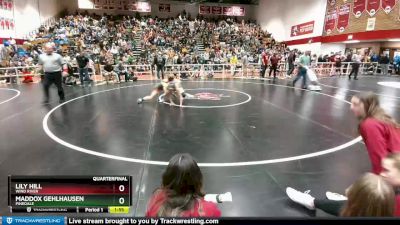 110 lbs Quarterfinal - Maddox Gehlhausen, Pinedale vs Lily Hill, Wind River