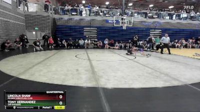 66 lbs Quarterfinal - Tony Hernandez, 208 Badgers vs Lincoln Shaw, Pilgrim Wrestling Club