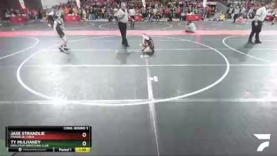 90 lbs Cons. Round 3 - Ty Mulhaney, Mollitium Wrestling Club vs Jase Strandlie, Prairie Du Chien