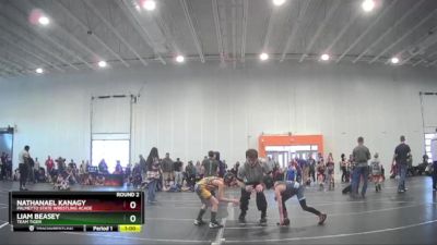 54 lbs Round 2 - Liam Beasey, Team Tiger vs Nathanael Kanagy, Palmetto State Wrestling Acade