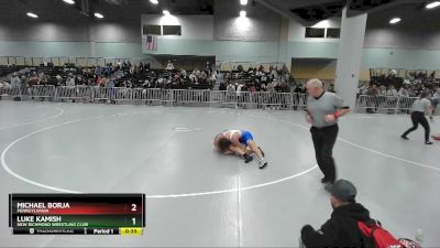 138 lbs Cons. Round 4 - Luke Kamish, New Richmond Wrestling Club vs Michael Borja, Pennsylvania