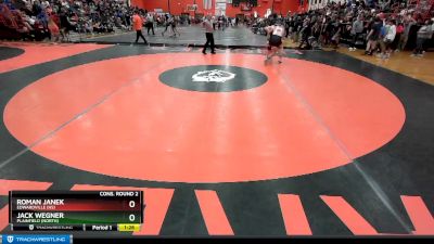 195 lbs Cons. Round 2 - Jack Wegner, Plainfield (NORTH) vs Roman Janek, EDWARDVILLE (HS)