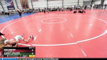 64 lbs Rd# 6- 9:00am Saturday Final Pool - Garrett Williams, Minnesota Funky Singlets vs Dom Sindone, Team Michigan