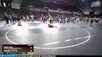 45 lbs Round 1 (10 Team) - Dominic Collins, Team Utah vs Crew Linn, Pomona Elite/Wrecking Crew