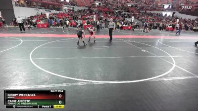 105 lbs Cons. Round 5 - Brody Weisensel, Berlin vs Caine Aniceto, Fond Du Lac Wrestling Club