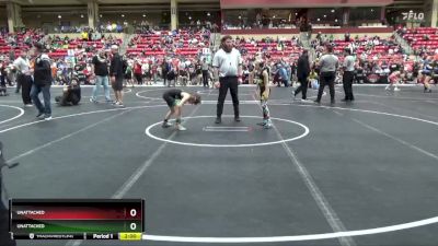 67 lbs Champ. Round 1 - Max Briggs, Linn County Twisters vs Chloe Demaree, Team Haysville Wrestling Club