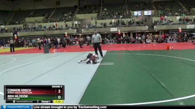 65 lbs Round 3 - Connor Krech, Anoka Youth Wrestling vs Rem Mlodzik, Team Nazar