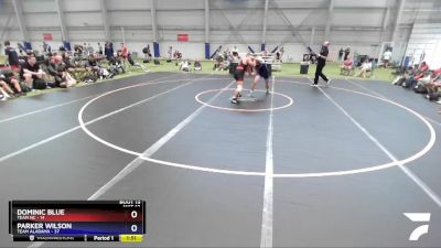 170 lbs Placement Matches (8 Team) - Dominic Blue, TEAM NC vs Parker Wilson, Team Alabama