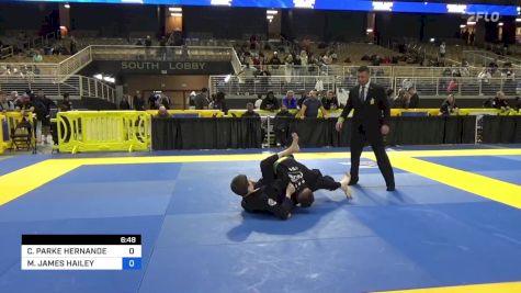 COLBY PARKE HERNANDEZ vs MATTHEW JAMES HAILEY 2024 Pan Jiu Jitsu IBJJF Championship