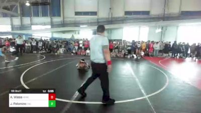 77 lbs Rr Rnd 1 - Adam Wiese, Hemet YW vs Jacob Ezra Palomino, The Snake Pit