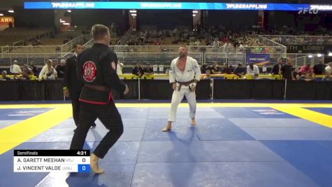 ASHLEY GARETT MEEHAN vs JASON VINCENT VALDEZ 2024 Pan Jiu Jitsu IBJJF Championship