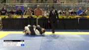 EMILY DANIELLE RUSSELL vs ANA SOPHIA VAN RAVENSWAAY 2024 Pan Jiu Jitsu IBJJF Championship
