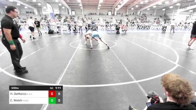 126 lbs Round Of 32 - Hayden DeMarco, Elite Athletic Club vs Carson Walsh, Iron Horse Wrestling Club