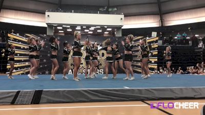 World Cup Zenith - World Cup Showcase