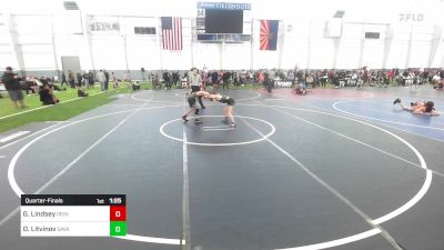 81 lbs Quarterfinal - Gage Lindsey, Iron Co Wrestling Academy vs Danil Litvinov, Savage House Wrestling Club