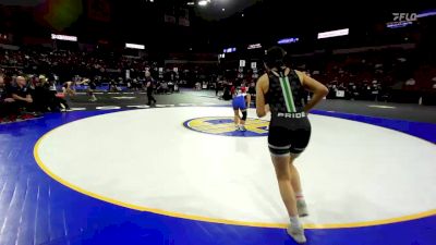 131 lbs Round Of 32 - Lana Nguyen, Dublin vs Gabryella Austin, Pitman