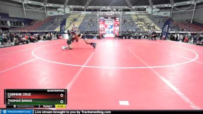 125 lbs Quarterfinal - Carmine Cruz, AZ vs Thomas Banas, IL