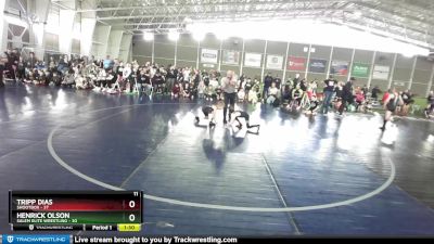 49 lbs Round 1 (4 Team) - Tripp Dias, Shootbox vs Henrick Olson, Salem Elite Wrestling